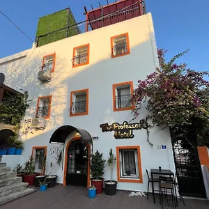 The Professor's Bodrum